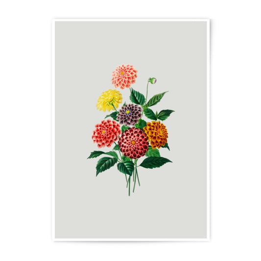 Floral Photographic Prints, Dahlia Flower Art, Botanical Print, Vintage Flower Bouquet, Wall Decor, Home Decor (132 characters) - Tawshia