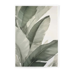 Tropical Photographic Print, Banana Leaf Art, Botanical Wall Decor, Green Leaf Print, Modern Home Decor, Plant Lover Gift - Tawshia
