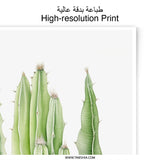 Cactus Photographic Print, Minimalist Wall Art, Botanical Print, Modern Home Decor, Green Cactus Art, Desert Plant Photo, Nature Photography - Tawshia
