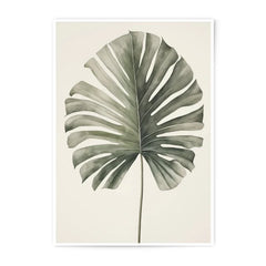 Monstera Leaf Photographic Print, Botanical Wall Art, Tropical Decor, Houseplant Art, Plant Lover Gift, Trending Now - Tawshia