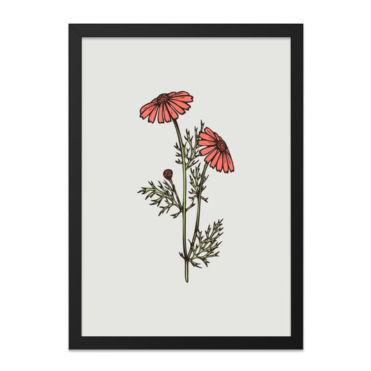 Coral Daisy Wall Art Print, Floral Illustration, Botanical Decor, Modern Home Decor, Living Room Art, Gift Idea, Minimalist Flower Art - Tawshia