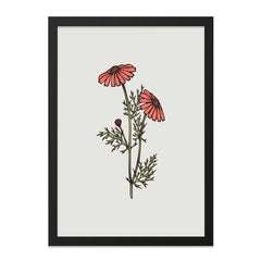 Coral Daisy Wall Art Print, Floral Illustration, Botanical Decor, Modern Home Decor, Living Room Art, Gift Idea, Minimalist Flower Art - Tawshia
