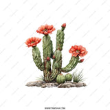 Blooming Cactus Pillow, Desert Flower Art, Southwestern Decor, Botanical Pillow, Floral Accent, Home Decor Pillow, Living Room Throw Pillow - Tawshia