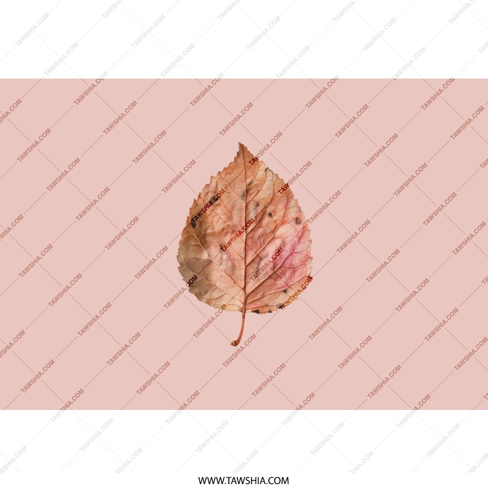 Autumn Leaf Tumbler, Fall Foliage Design, Botanical Drinkware, Seasonal Tumblers, Unique Leaf Art Tumbler, Nature Inspired Travel Mug - Tawshia