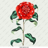 Red Camellia Flower Pinback Button, Floral Botanical Button, Nature Inspired, Garden Lover Gift, Artistic Pin Badge, Unique Button - Tawshia