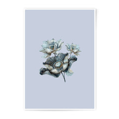 Floral Photographic Prints, Lotus Flower Wall Art, Botanical Decor, Elegant Home Decor, Flower Photography, Home and Living - Tawshia