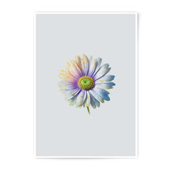 Daisy Photographic Prints, Floral Wall Art, Botanical Home Decor, Flower Photography, Unique Art Prints, Nature Inspired Gifts, Pretty Decor - Tawshia