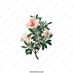 Floral Pillow, Botanical Print Pillow, Flower Accent Pillow, Decorative Pillow, Floral Home Decor, Pink Azalea Pillow - Tawshia