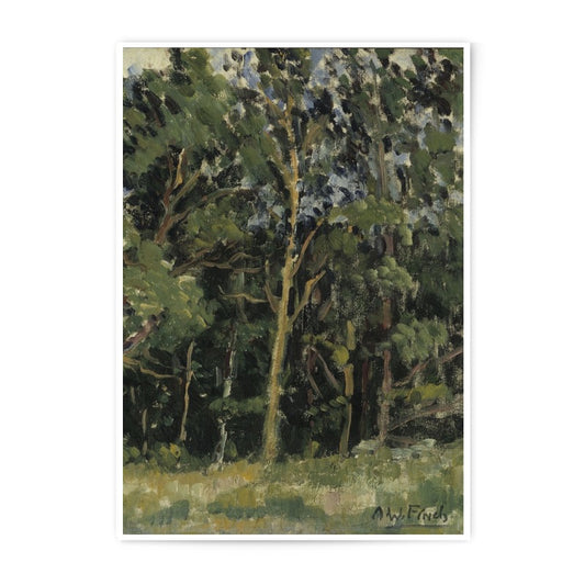 Forest Photographic Print, Tree Art Print, Landscape Photo, Nature Wall Decor, Fine Art Print, Home Decor, Vintage Art, Wall Art - Tawshia
