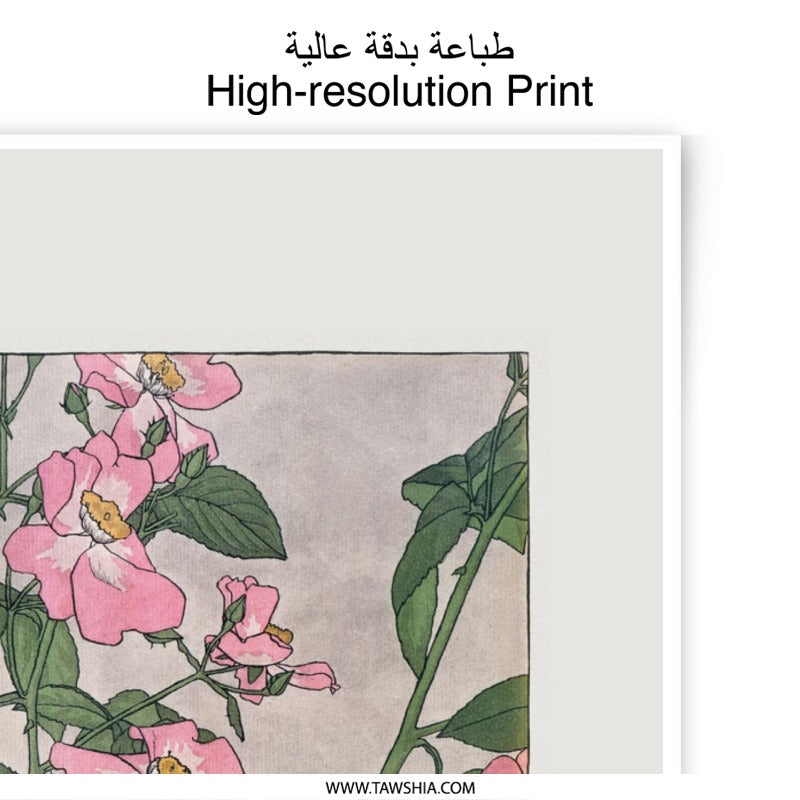 Pink Rose Photographic Print, Floral Wall Decor, Botanical Art Print, Flower Photography, Home Decor, Nature Photo, Gift Idea - Tawshia