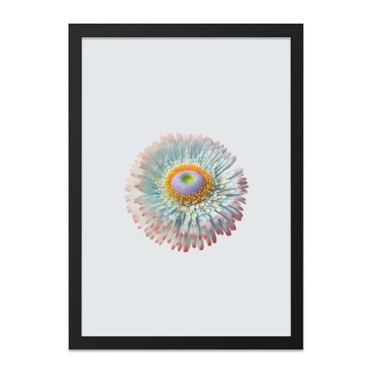 Daisy Wall Art, Floral Print, Flower Photo, Botanical Decor, Colorful Art Print, Minimalist Wall Decor, Home Decor - Tawshia