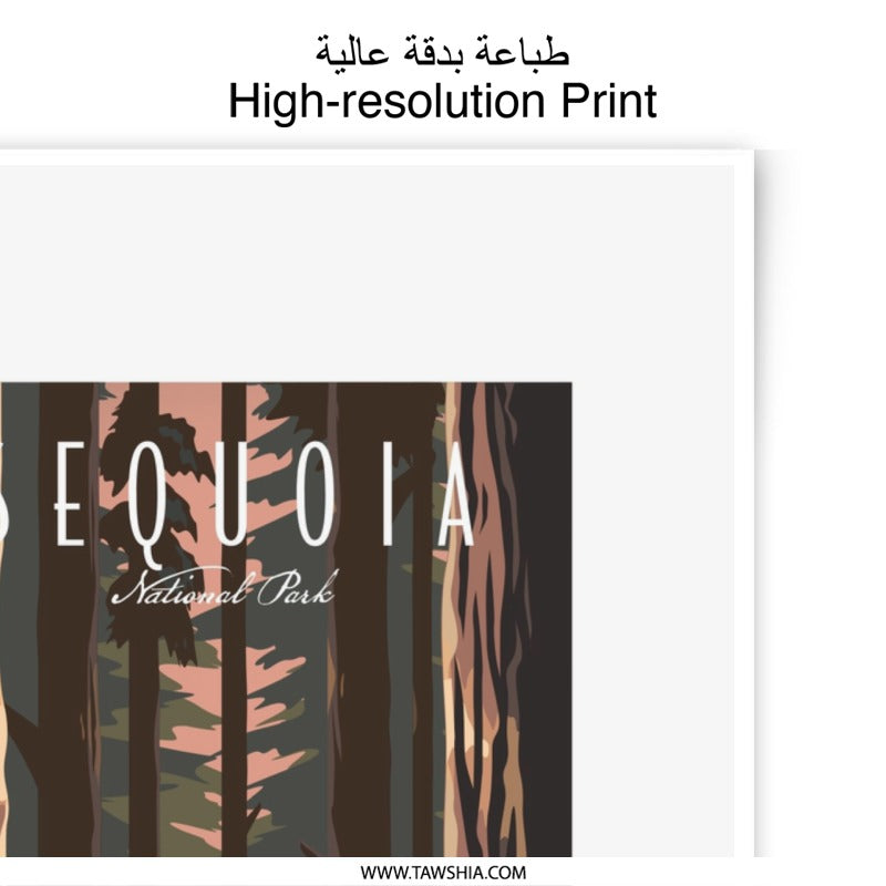 Sequoia National Park Photographic Print, Forest Wall Art, Nature Photography, California Art Print, Tree Decor, Landscape Photo - Tawshia