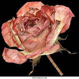 Withered Rose Pinback Button, Floral Button, Dark Aesthetic, Elegant Badge, Unique Gift, Botanical Accessories, Rose Lover Gift - Tawshia
