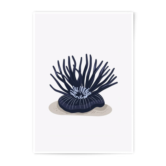 Anemone Photographic Print, Sea Life Art, Dark Teal Floral Decor, Minimalist Wall Art, Ocean Illustration, Home Decor, Coastal Artwork - Tawshia