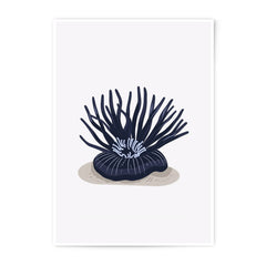 Anemone Photographic Print, Sea Life Art, Dark Teal Floral Decor, Minimalist Wall Art, Ocean Illustration, Home Decor, Coastal Artwork - Tawshia