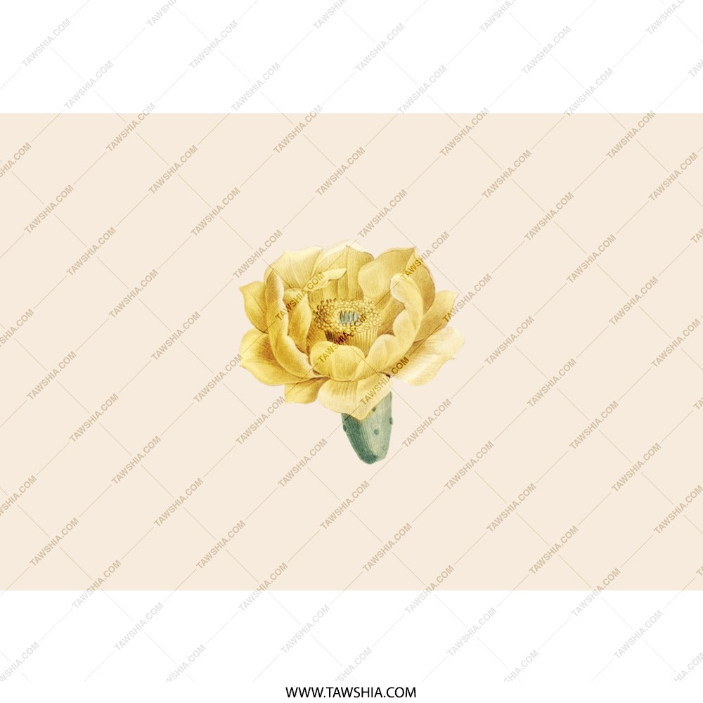 Prickly Pear Cactus Flower Tumbler, Floral Tumbler, Botanical Tumbler, Yellow Flower Tumbler, Flower Gift, Gift for Her, Trendy Tumbler - Tawshia