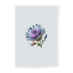 Thistle Flower Photographic Prints, Floral Wall Decor, Purple Blue Flower Prints, Botanical Photography, Nature Art Prints, Flower Art - Tawshia