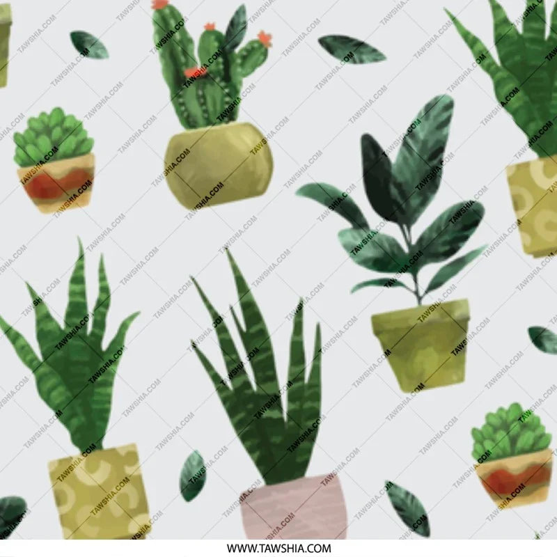 Charming Succulent and Cactus Potted Plant product type