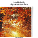 Autumn Cabin Photographic Print, Fall Foliage Art, Cozy Cabin Scene, Sunlit Forest, Seasonal Wall Decor - Tawshia