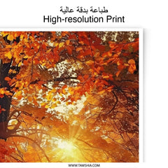 Autumn Cabin Photographic Print, Fall Foliage Art, Cozy Cabin Scene, Sunlit Forest, Seasonal Wall Decor - Tawshia