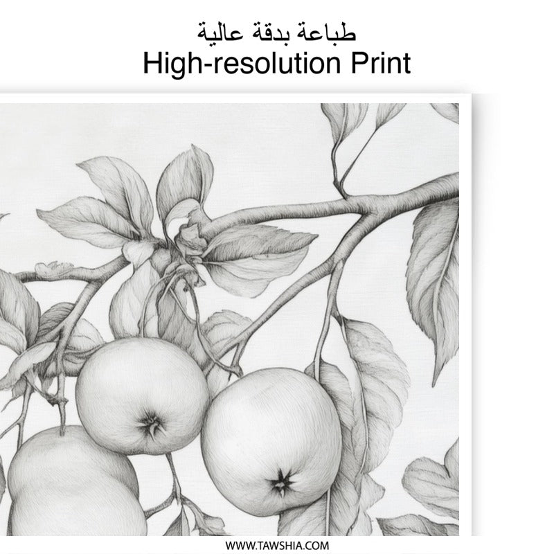 Apple Tree Branch Photographic Print, Botanical Still Life Wall Decor, Fruit Tree Art Print, Nature Inspired Home Decor, Sketch Art - Tawshia