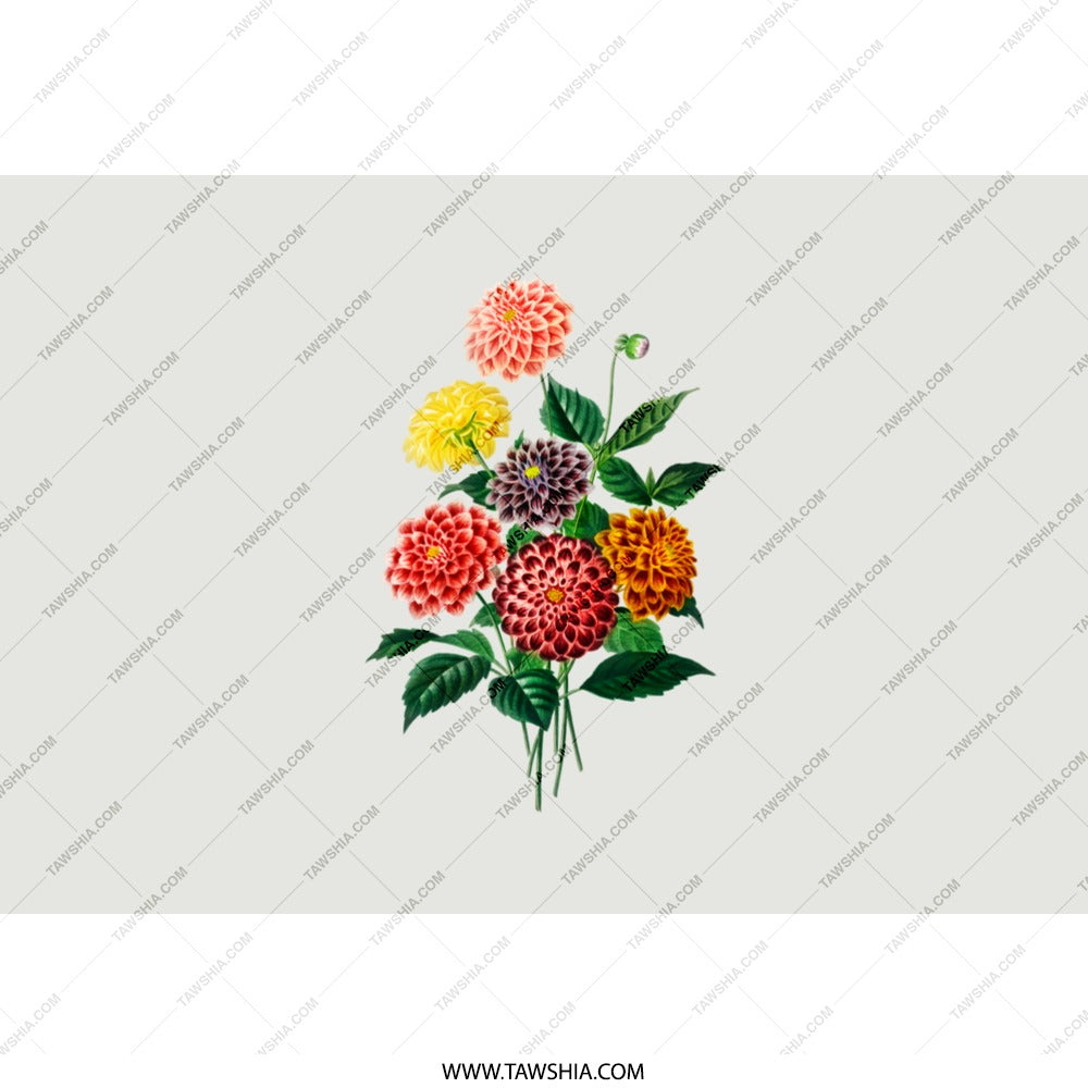 Dahlia Flower Tumbler, Floral Tumbler, Flower Lover Gift, Colorful Flowers, Garden Tumbler, Pretty Tumbler, Summer Tumbler, Floral Gift - Tawshia