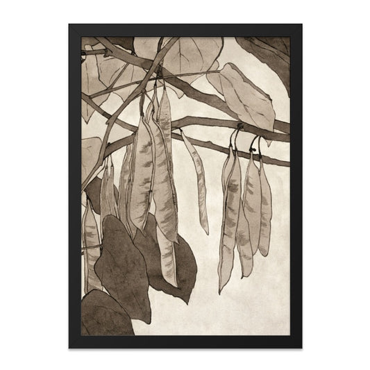 Eastern Redbud Tree Wall Art, Vintage Botanical Print, Nature Decor, Sepia Tone Art, Pods and Leaves, Elegant Wall Decor - Tawshia