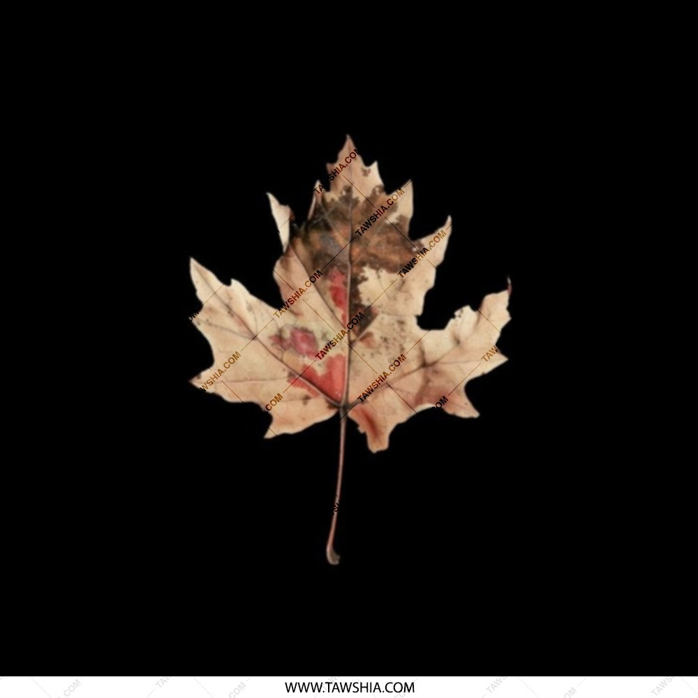 Autumn Leaf Pocket Mirror, Fall Foliage Compact Mirror, Maple Leaf Design, Nature Lover Gift, Portable Makeup Mirror, Unique Fall Accessory - Tawshia