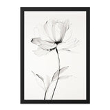 Elegant Floral Wall Art, Black and White Flower Print, Modern Botanical Art, Minimalist Home Decor, Stylish Floral Drawing - Tawshia