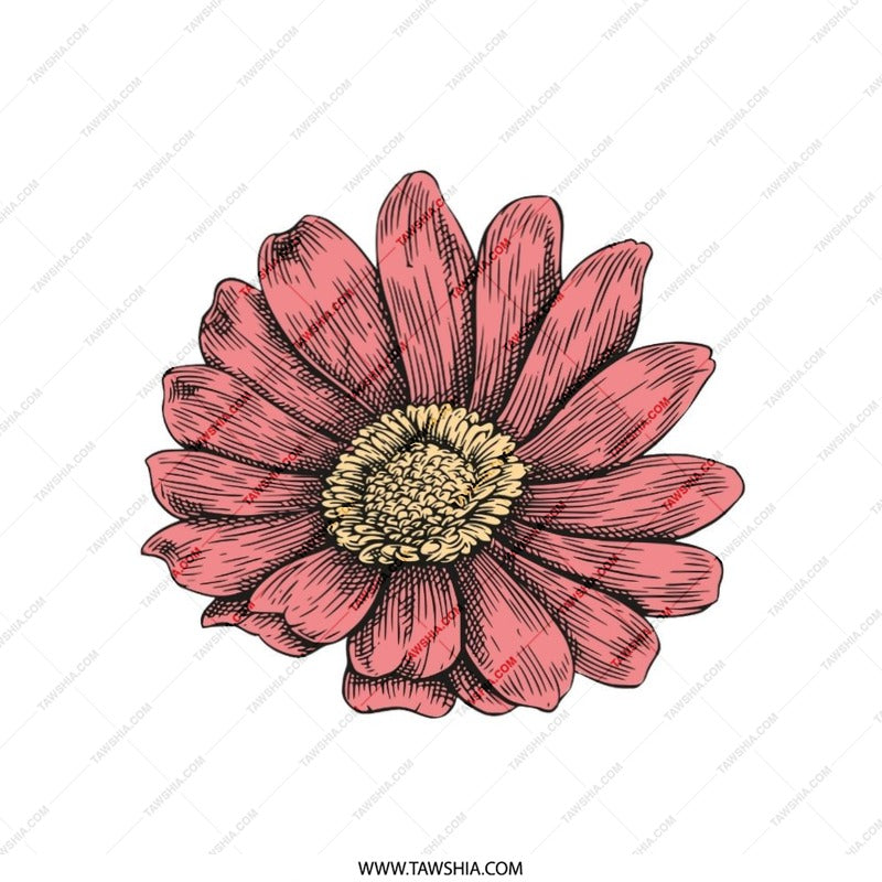 Pink Daisy Pillow, Floral Throw Pillow, Flower Accent Pillow, Botanical Cushion, Modern Home Decor, Decorative Pillows, Spring Decor - Tawshia