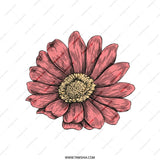 Pink Daisy Pillow, Floral Throw Pillow, Flower Accent Pillow, Botanical Cushion, Modern Home Decor, Decorative Pillows, Spring Decor - Tawshia