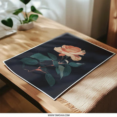 Peach Rose Photographic Print, Floral Art Print, Botanical Wall Art, Dark Background, Home Decor, Fine Art Print, Gift Idea - Tawshia
