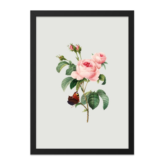 Pink Rose Wall Art, Butterfly Print, Botanical Art, Vintage Flower Art, Floral Wall Decor, Nature Art Print - Tawshia