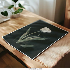 White Tulip Photographic Print, Floral Wall Art, Minimalist Flower Print, Botanical Decor, Elegant Fine Art Print - Tawshia