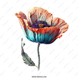 Colorful Floral Mug, Poppy Flower Cup, Watercolor Art, Unique Gift, Tea Coffee Mug, Pretty Mug - Tawshia