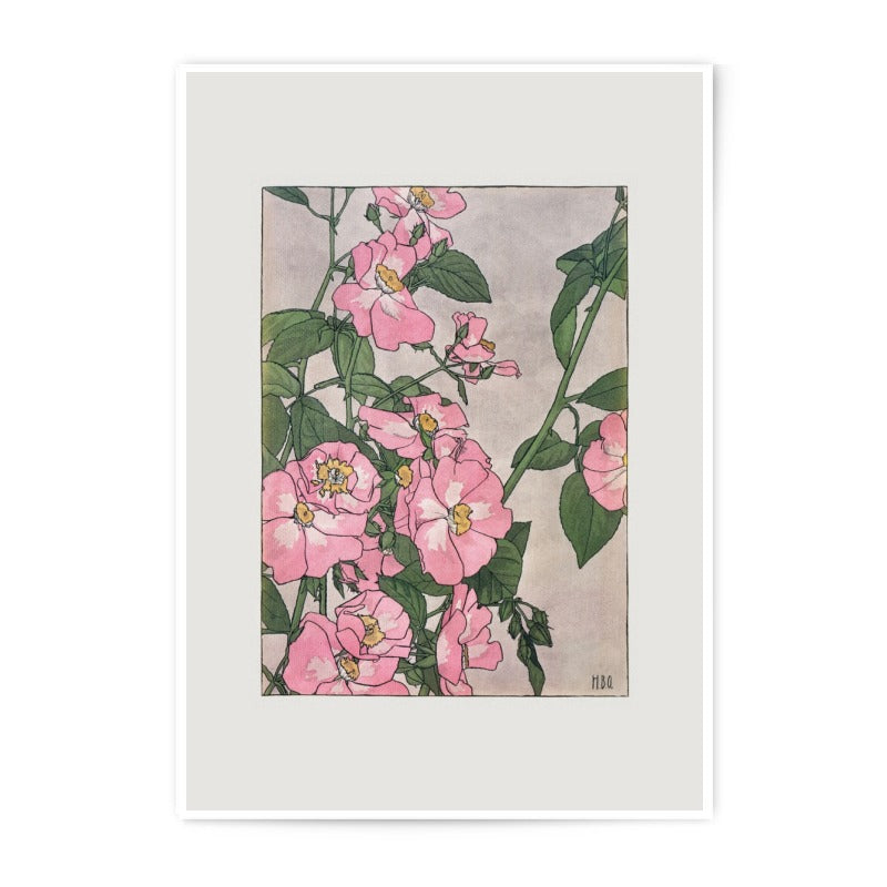 Pink Rose Photographic Print, Floral Wall Decor, Botanical Art Print, Flower Photography, Home Decor, Nature Photo, Gift Idea - Tawshia