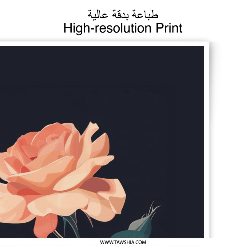 Peach Rose Photographic Print, Floral Art Print, Botanical Wall Art, Dark Background, Home Decor, Fine Art Print, Gift Idea - Tawshia