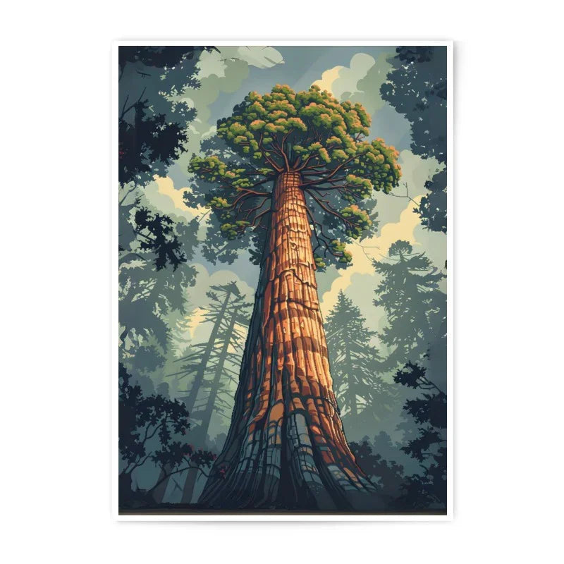 Redwood Tree Photographic Print, Forest Art Print, Nature Wall Decor, California Sequoia Print, Tall Trees Print, National Park Poster - Tawshia