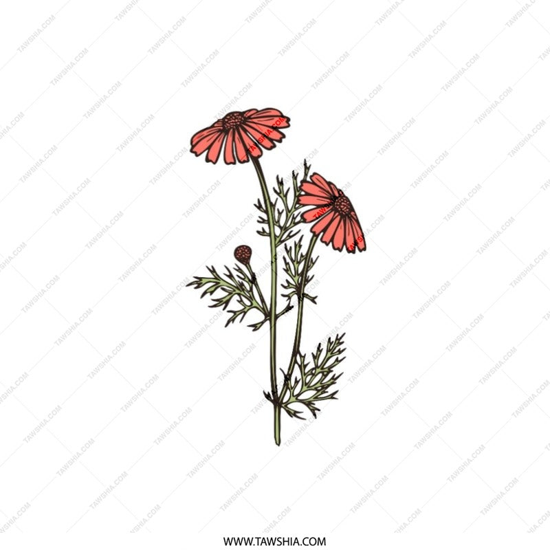 Floral Pillow, Chamomile Flower, Botanical Pillow, Red Flower Pillow, Modern Pillow, Home Decor Pillow, Accent Pillow, Decorative Pillow - Tawshia