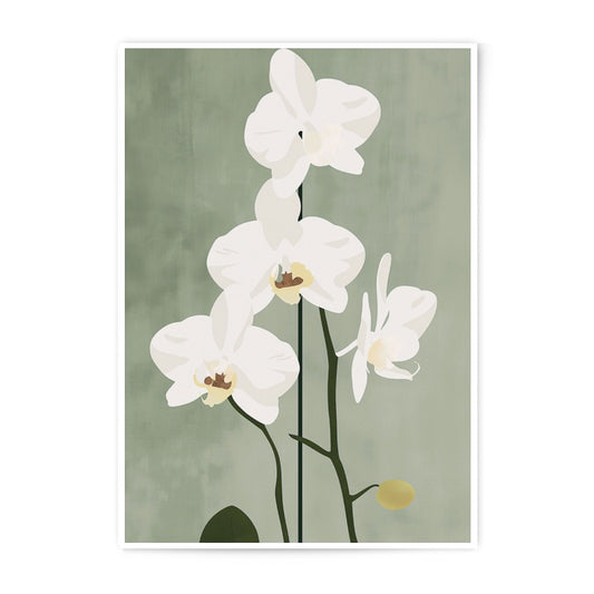 White Orchid Photographic Print, Botanical Wall Art, Floral Art Print, Minimalist Flower Decor, Elegant Home Decor, Plant Lover Gift - Tawshia