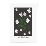 Verbena Flower Photographic Print, Floral Wall Art, Botanical Decor, Plant Illustration, Elegant Art Print, Home Decor - Tawshia