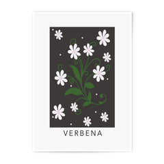 Verbena Flower Photographic Print, Floral Wall Art, Botanical Decor, Plant Illustration, Elegant Art Print, Home Decor - Tawshia