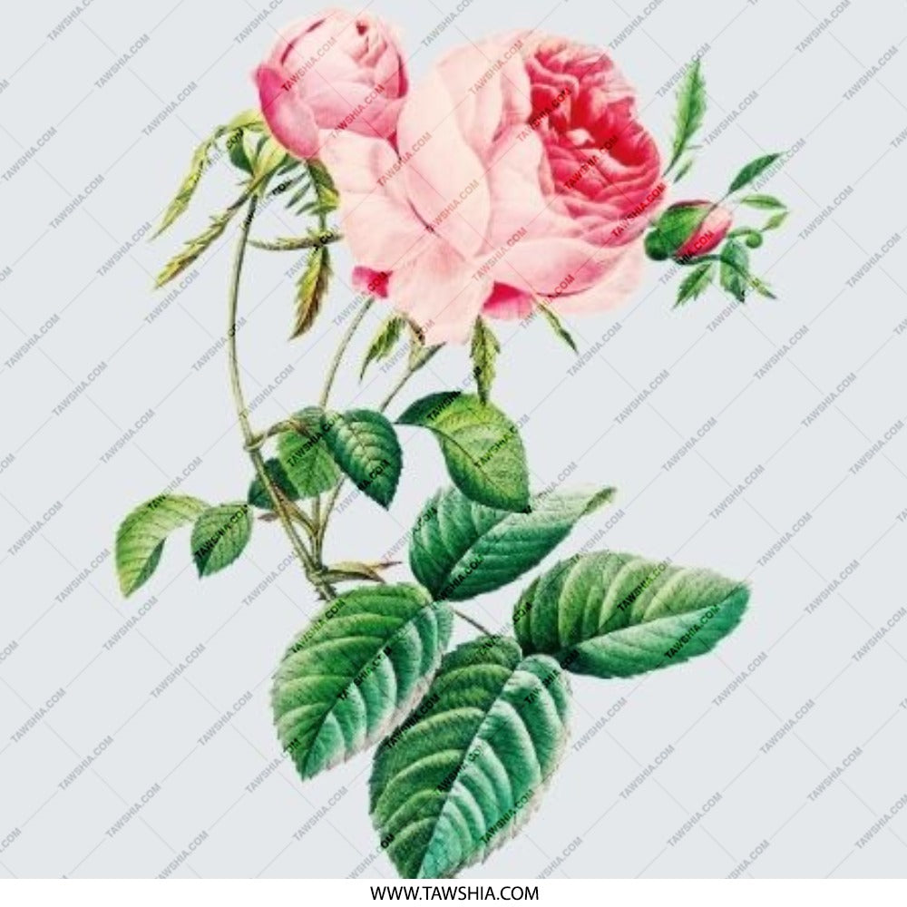 Pink Rose Pinback Button, Floral Badge, Botanical Button, Vintage Style Button, Garden Lover Gift, Unique Lapel Pin, Cute Trendy Button - Tawshia