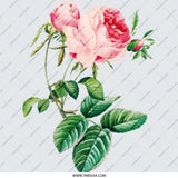 Pink Rose Pinback Button, Floral Badge, Botanical Button, Vintage Style Button, Garden Lover Gift, Unique Lapel Pin, Cute Trendy Button - Tawshia