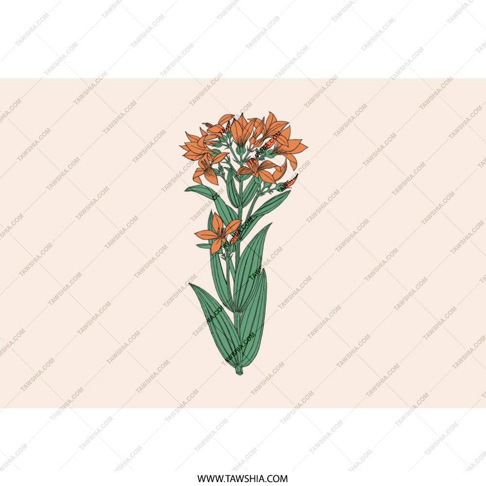 Orange Lily Flower Tumbler, Floral Tumbler Gift, Botanical Drinkware, Elegant Tumbler, Gift for Her, Flower Lover, Plant Lover Tumbler - Tawshia