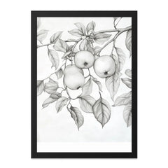 Apple Tree Branch Wall Art, Botanical Print, Pencil Drawing Art, Fruit Tree Decor, Kitchen Wall Decor, Minimalist Art, Nature Wall Art - Tawshia