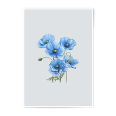 Blue Poppy Photographic Print, Floral Wall Art, Botanical Home Decor, Flower Photography, Fine Art Print, Nature Art, Poppy Flower Print - Tawshia