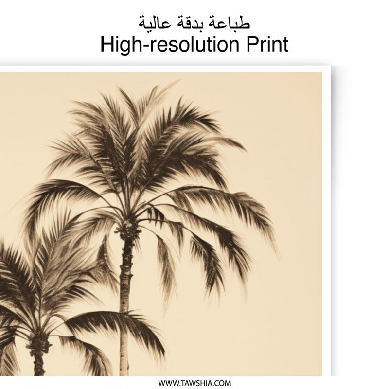 Palm Tree Photographic Print, Tropical Wall Art, Beach House Decor, Coastal Print, Sepia Tone Art Print, Fine Art Print - Tawshia