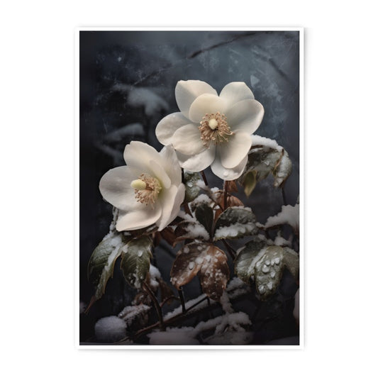 Winter Hellebore Photographic Print, Floral Photography, Botanical Wall Art, Moody Flower Picture, Winter Garden Print - Tawshia