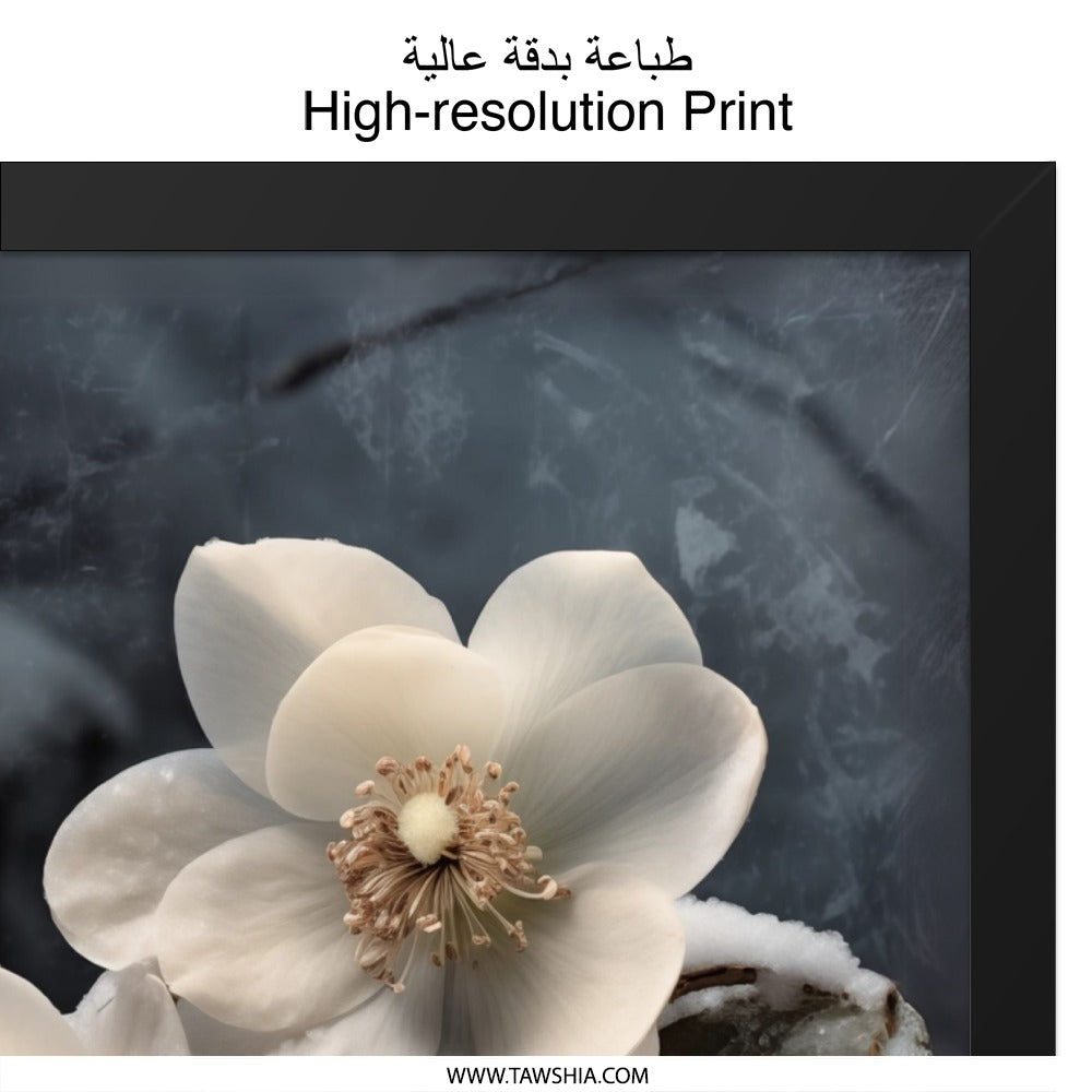 Winter Hellebore Wall Art, Floral Print, White Flower Photography, Botanical Decor, Nature Artwork, Snowy Flower Art, Christmas Rose Print - Tawshia